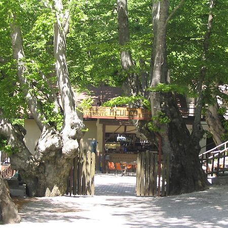 Albergo Ristorante Montecucco Da Tobia Sigillo Ngoại thất bức ảnh